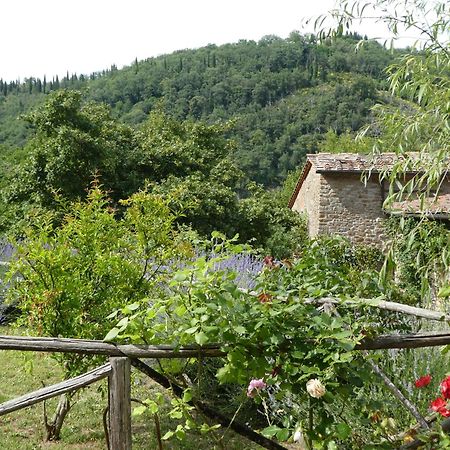 Vila Il Capriolo San Cerbone Exteriér fotografie