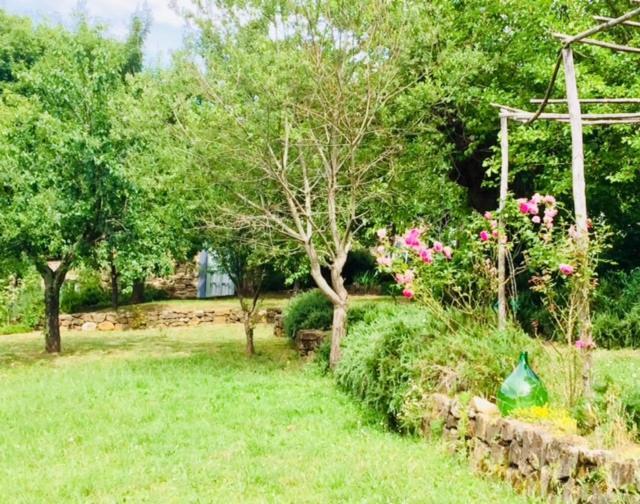 Vila Il Capriolo San Cerbone Exteriér fotografie