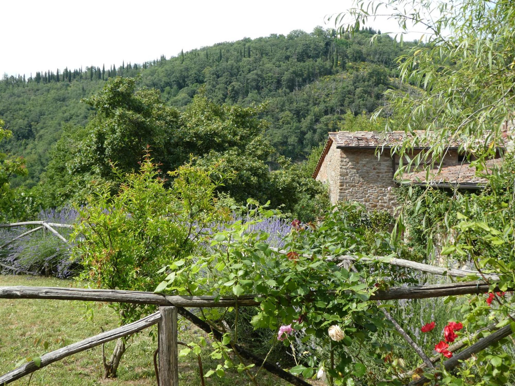 Vila Il Capriolo San Cerbone Exteriér fotografie