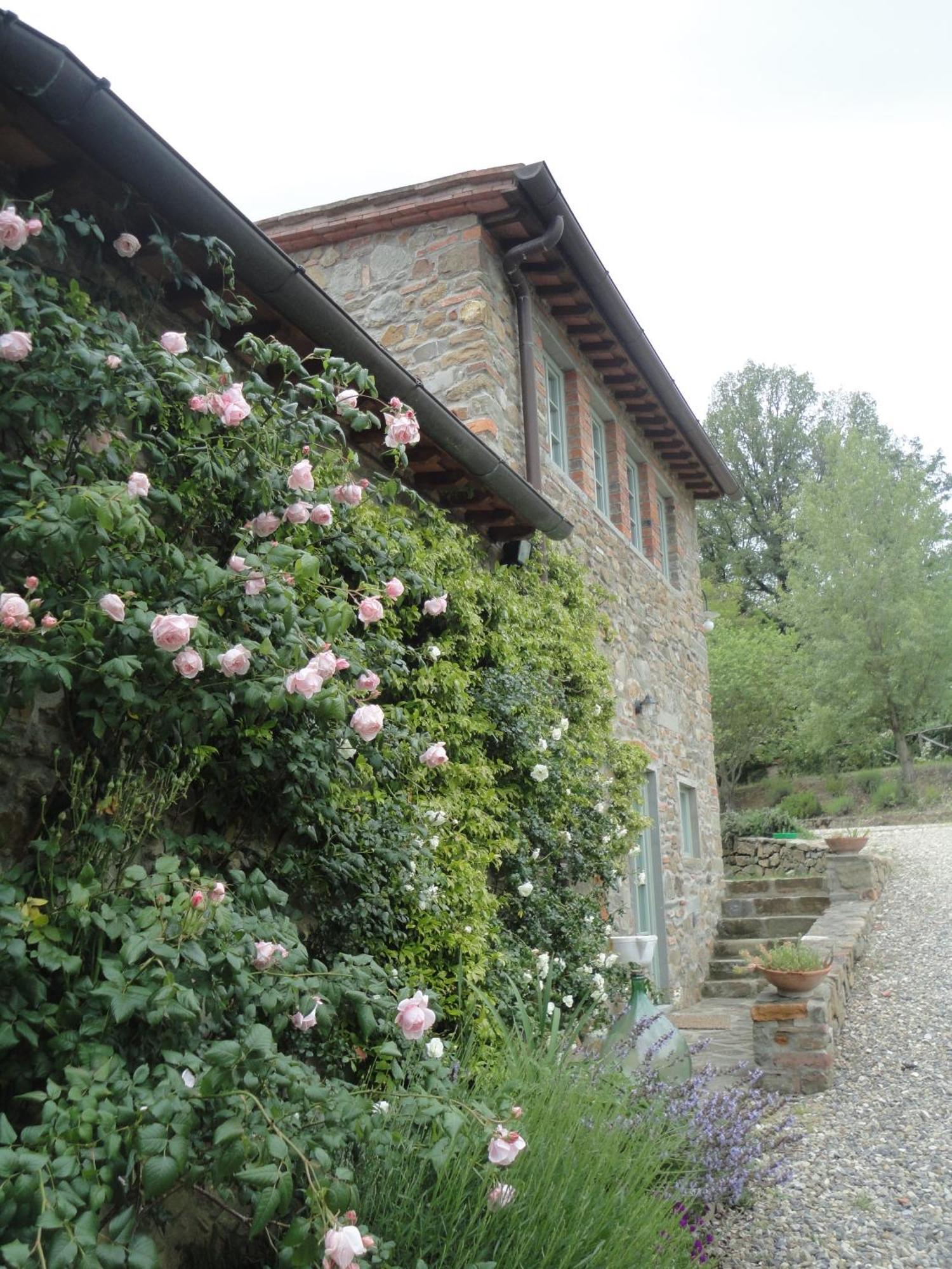 Vila Il Capriolo San Cerbone Exteriér fotografie