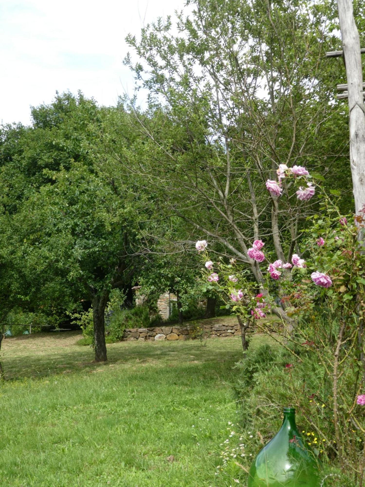 Vila Il Capriolo San Cerbone Exteriér fotografie